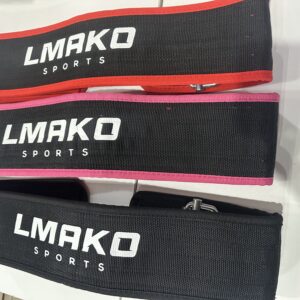 Back support belt