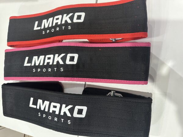 Back support belt